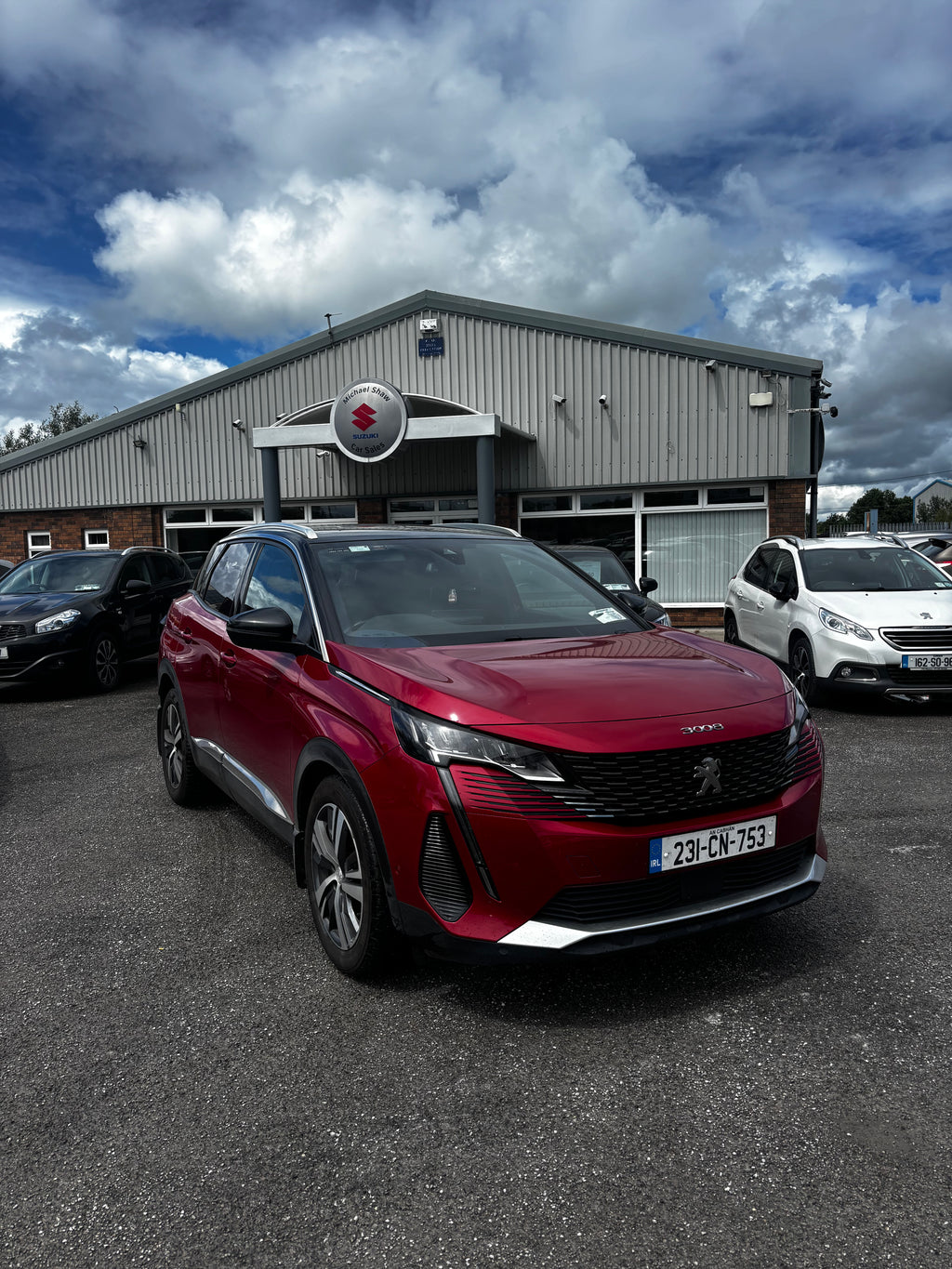 231 Peugeot 3008