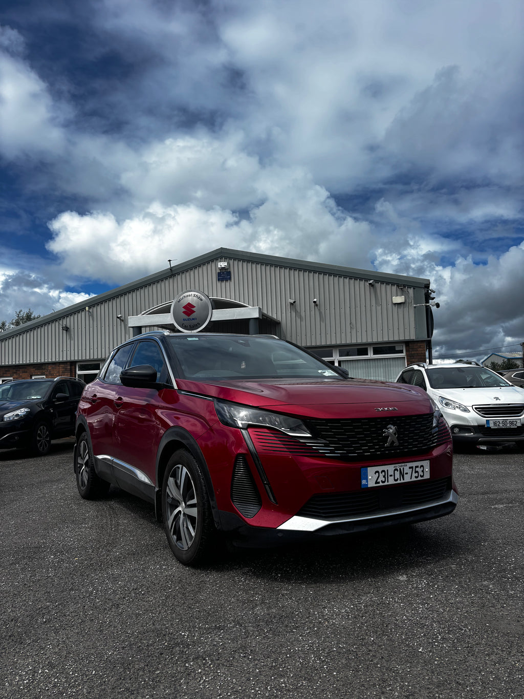 231 Peugeot 3008